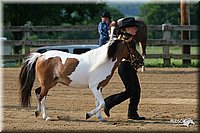 4H-1st-Show-2006-0441.jpg