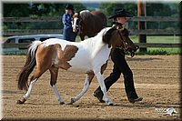 4H-1st-Show-2006-0442.jpg