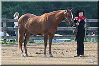 4H-1st-Show-2006-0456.jpg