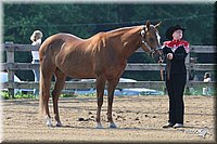 4H-1st-Show-2006-0457.jpg