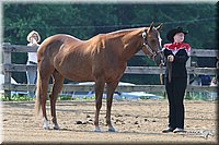 4H-1st-Show-2006-0458.jpg