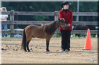 4H-1st-Show-2006-0463.jpg