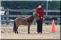 4H-1st-Show-2006-0464.jpg