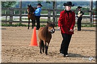 4H-1st-Show-2006-0467.jpg