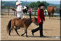 4H-1st-Show-2006-0468.jpg