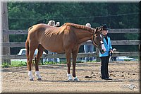 4H-1st-Show-2006-0469.jpg