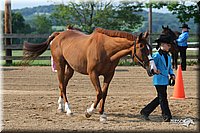 4H-1st-Show-2006-0471.jpg