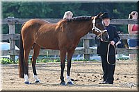 4H-1st-Show-2006-0472.jpg