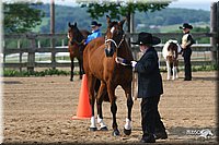 4H-1st-Show-2006-0474.jpg