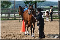 4H-1st-Show-2006-0475.jpg