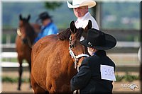 4H-1st-Show-2006-0476.jpg