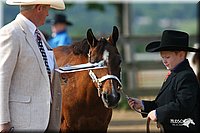 4H-1st-Show-2006-0477.jpg