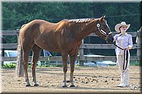 4H-1st-Show-2006-0481.jpg