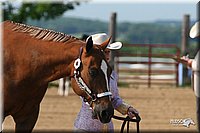 4H-1st-Show-2006-0488.jpg