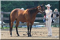 4H-1st-Show-2006-0496.jpg