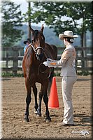 4H-1st-Show-2006-0502.jpg