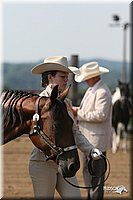 4H-1st-Show-2006-0509.jpg