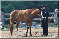 4H-1st-Show-2006-0511.jpg