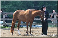 4H-1st-Show-2006-0512.jpg