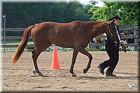 4H-1st-Show-2006-0517.jpg