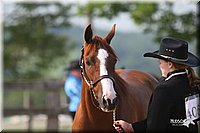 4H-1st-Show-2006-0519.jpg