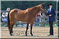 4H-1st-Show-2006-0522.jpg