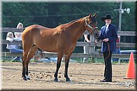 4H-1st-Show-2006-0523.jpg