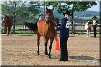 4H-1st-Show-2006-0526.jpg