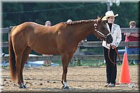 4H-1st-Show-2006-0531.jpg