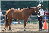 4H-1st-Show-2006-0533.jpg