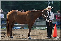 4H-1st-Show-2006-0534.jpg