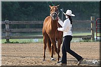 4H-1st-Show-2006-0537.jpg