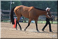 4H-1st-Show-2006-0543.jpg