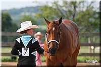 4H-1st-Show-2006-0548.jpg