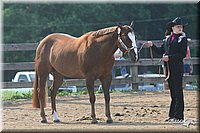 4H-1st-Show-2006-0553.jpg