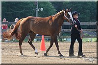 4H-1st-Show-2006-0555.jpg