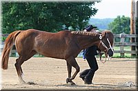 4H-1st-Show-2006-0557.jpg