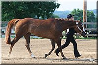 4H-1st-Show-2006-0558.jpg