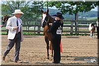 4H-1st-Show-2006-0560.jpg