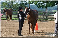 4H-1st-Show-2006-0561.jpg