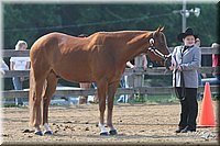 4H-1st-Show-2006-0566.jpg