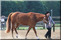 4H-1st-Show-2006-0568.jpg