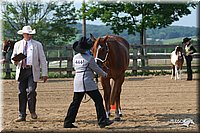 4H-1st-Show-2006-0572.jpg