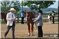 4H-1st-Show-2006-0573.jpg