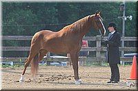 4H-1st-Show-2006-0577.jpg