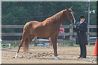 4H-1st-Show-2006-0578.jpg