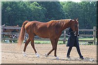 4H-1st-Show-2006-0579.jpg