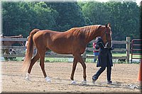 4H-1st-Show-2006-0580.jpg