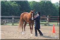 4H-1st-Show-2006-0581.jpg