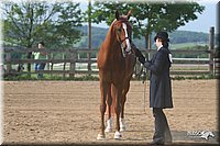 4H-1st-Show-2006-0582.jpg